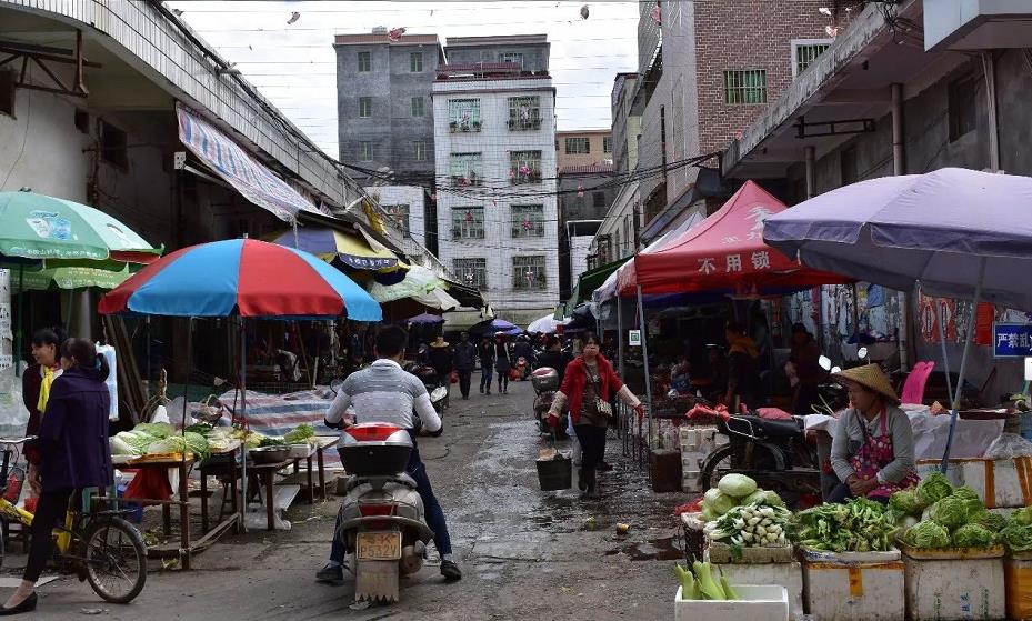 广东省 a href="#" data-lemmaid="13780935">茂名市电白区 /a>中部