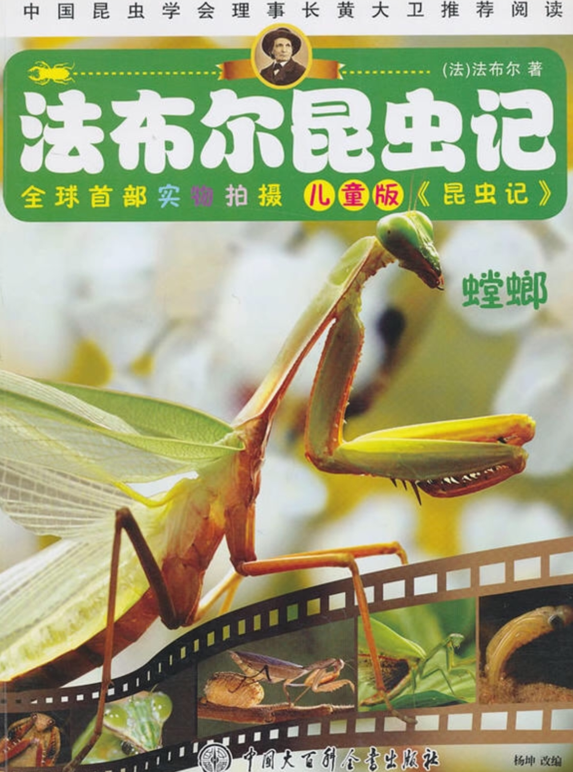 法布尔昆虫记:螳螂