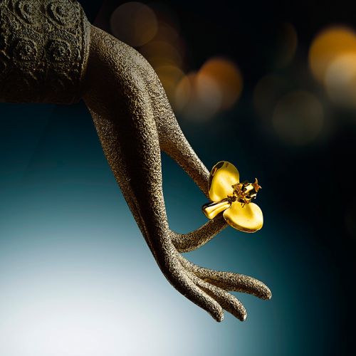 用语,为二十二根之一,五根之一,观达真理,称为慧;智慧具有照破一切,生