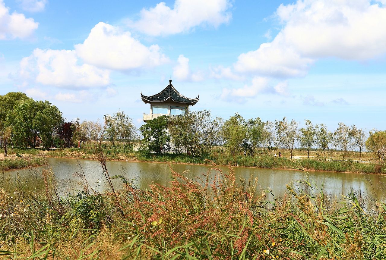  p>江苏盐城国家级珍禽自然保护区(jiangsu yancheng wetland
