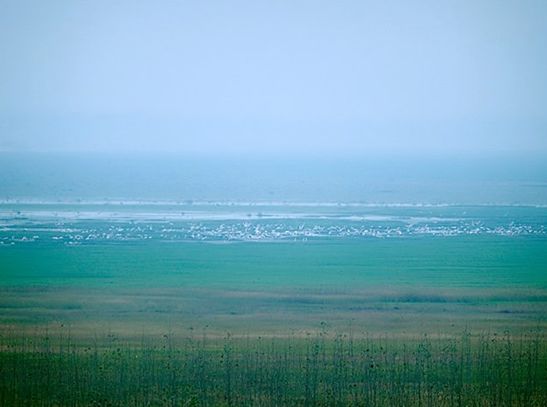  p>鄱阳湖平原,又称豫章平原,鄱阳湖盆地,是南昌盆地的重要部分.