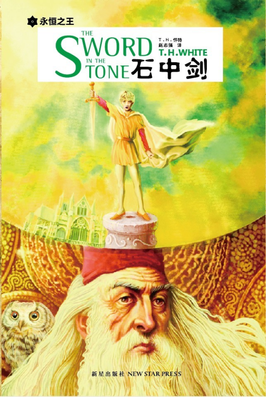 石中剑（2003年新星出版社出版的图书）_百度百科