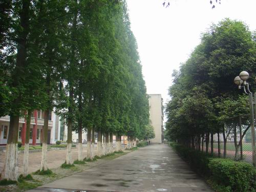 id="gnaqvvfx2b">眉山市东坡区永寿高级中学,是一所市级"示范高 ""