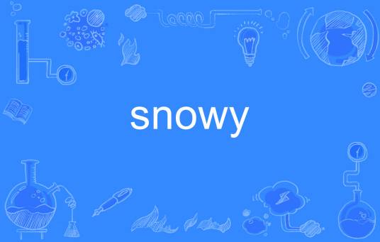 SNOWY（英文单词）_百度百科