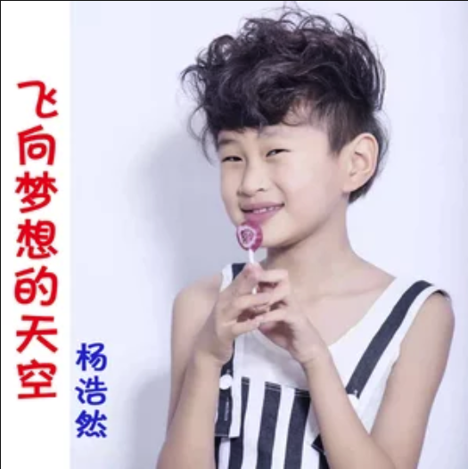  p>飞向梦想的天空,是五百/张明填词,五百作曲,杨浩然演唱的歌曲,歌曲