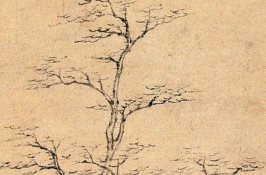 倪瓒《古木幽篁图》