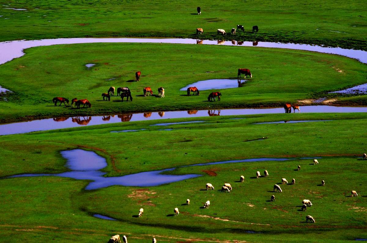  p>内蒙古锡林郭勒草原国家级自然保护区位于内蒙古自治区锡林郭勒盟