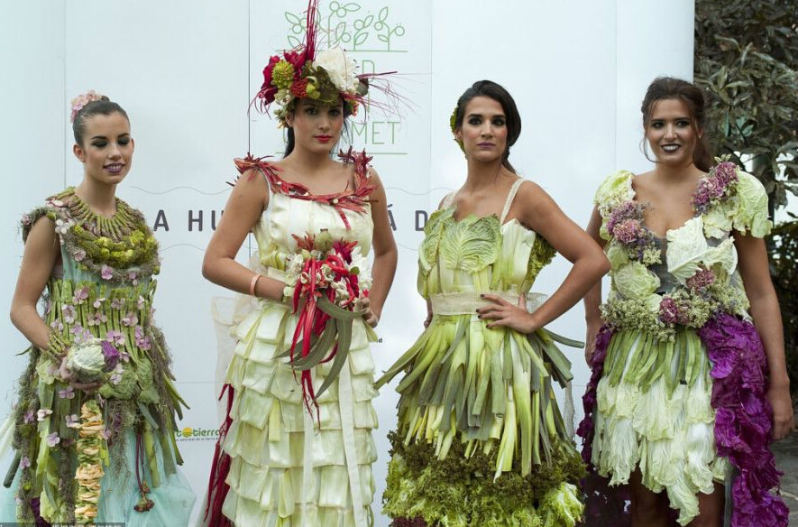  p>蔬菜裙是由蔬菜组成的裙子. /p>