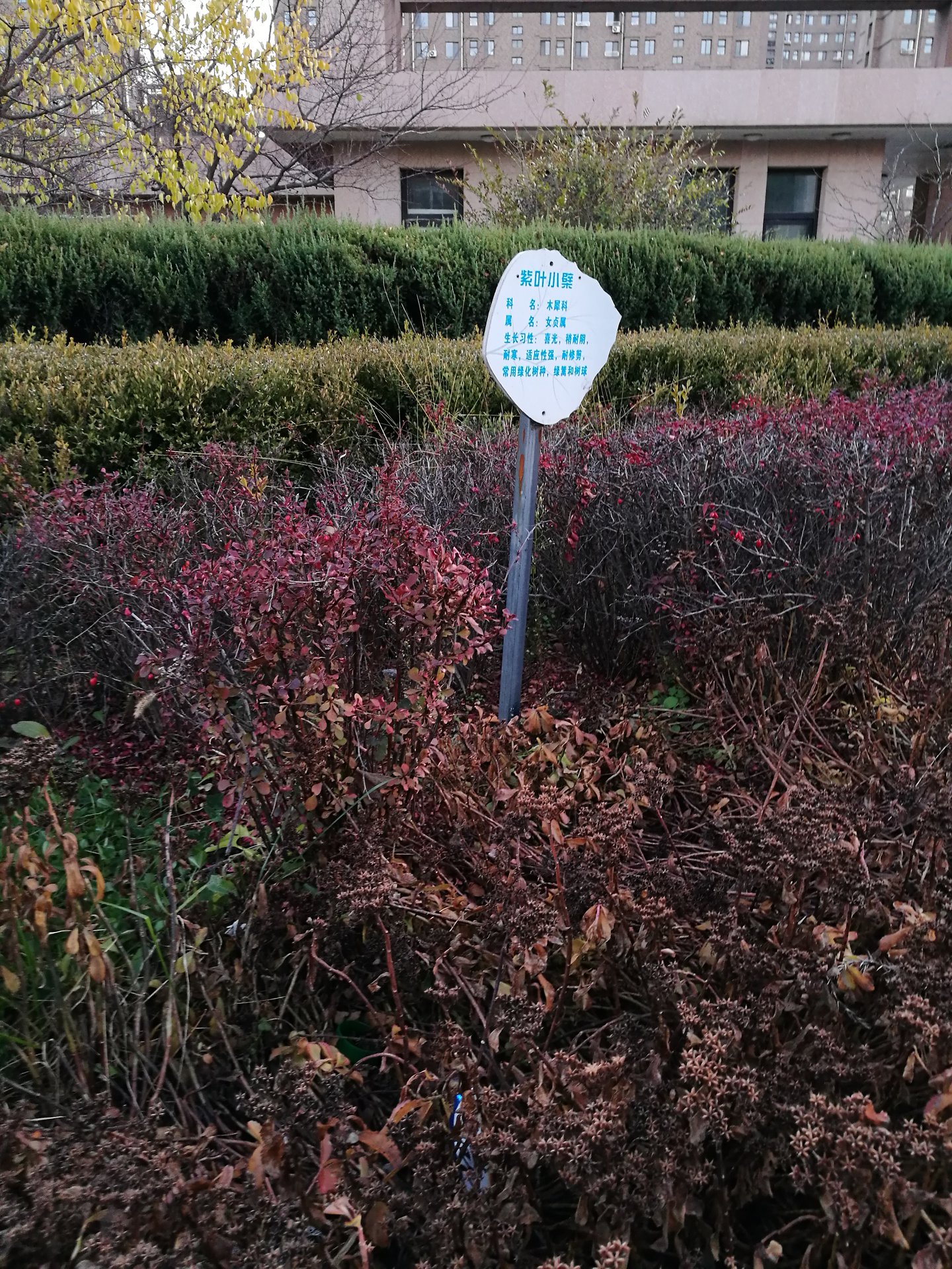 抚顺市第二中学简称抚顺二中,是辽宁省首批示范性高中之一,素有"