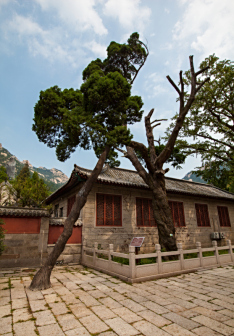 崂山太清宫