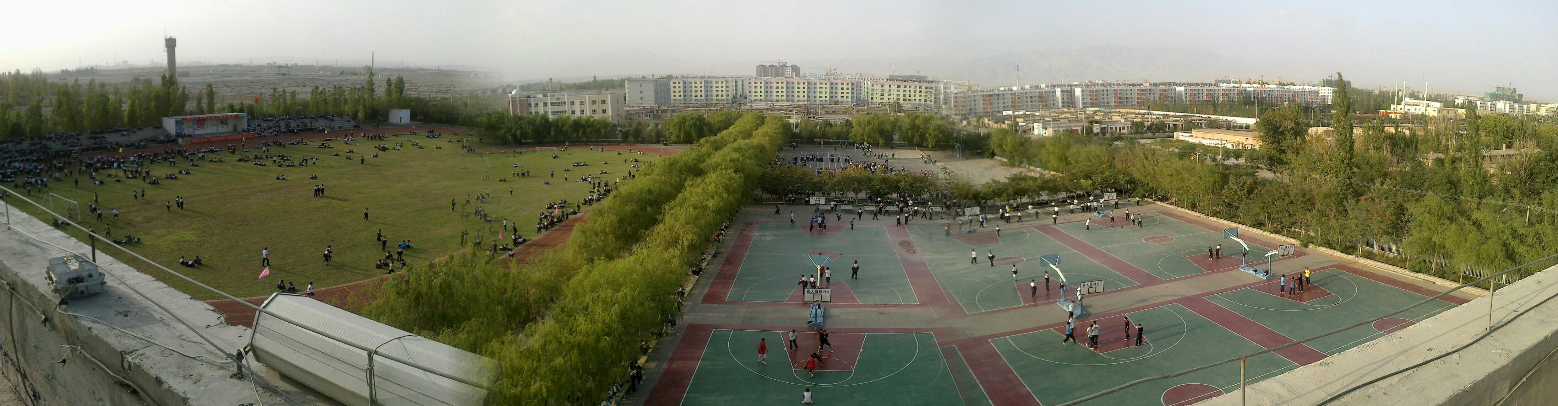  p>和静高级中学的校园里,绿树成荫,绿草覆地,花香馥郁,茵草绿树使你