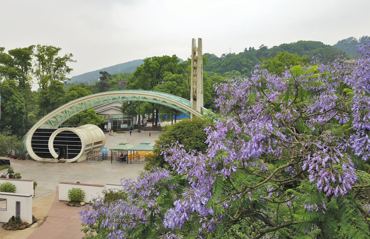 重庆市南山植物园