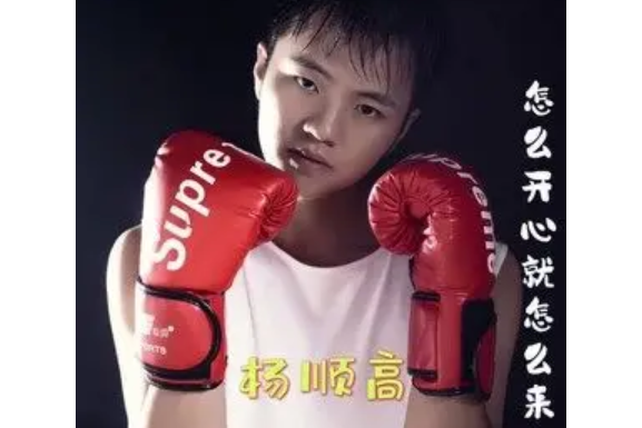  p data-id="stoxu89oylls">《怎么开心就怎么来》是杨顺高演唱的歌曲