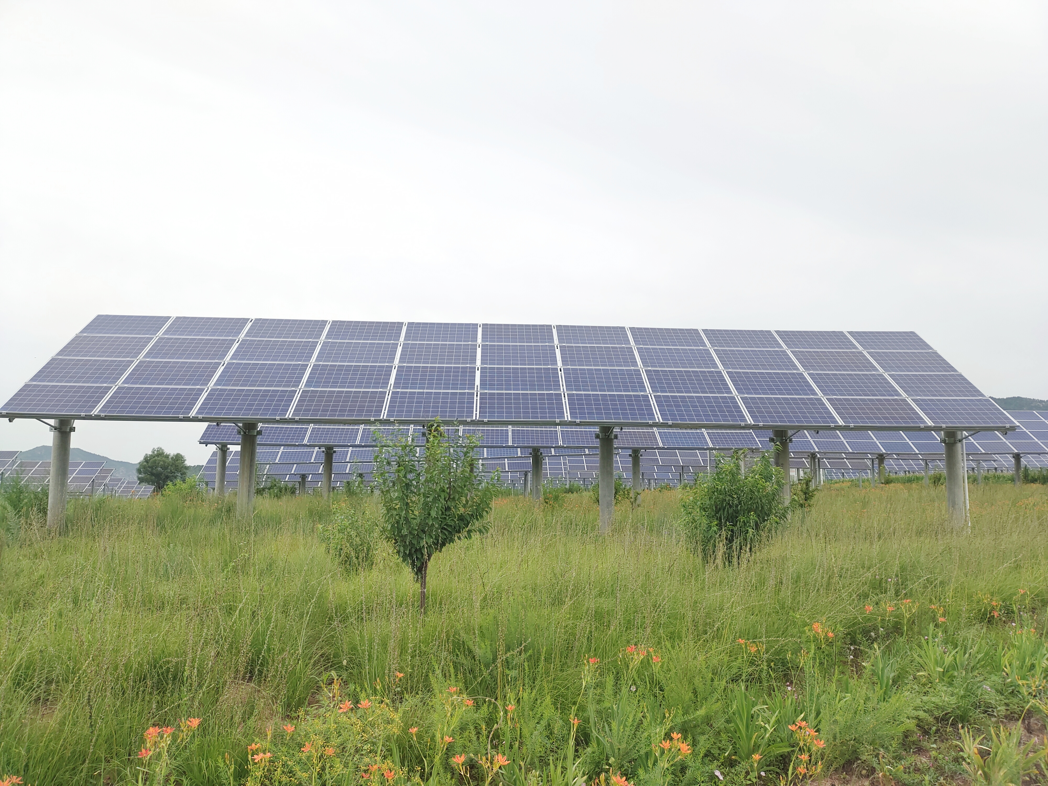 太阳能光伏电池