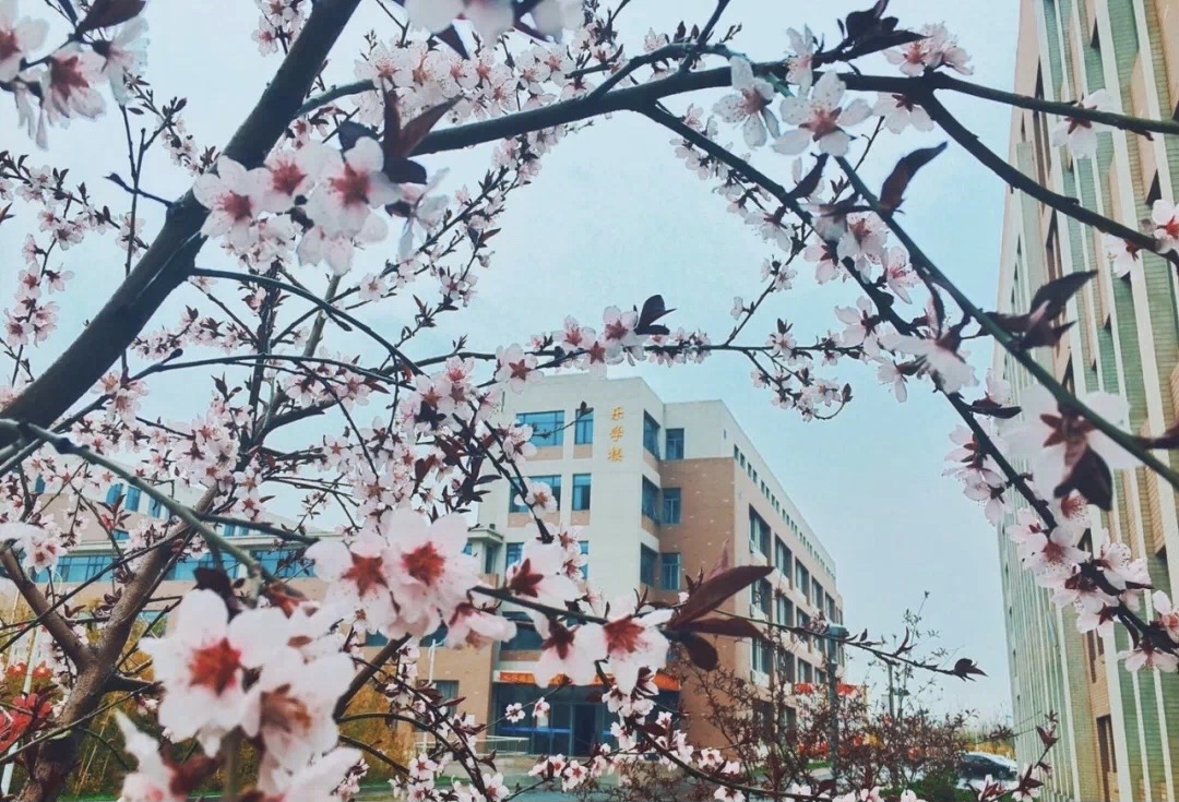 天和城实验中学