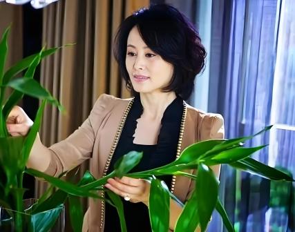 刘洁（中国内地女演员、一级演员）_百度百科