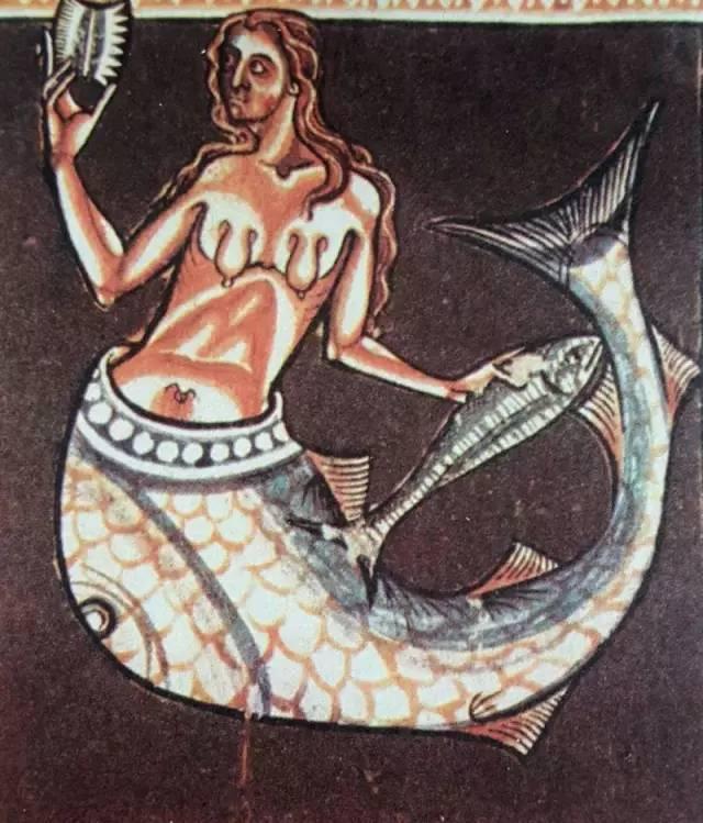 美人鱼是种双尾怪 被中世纪欧洲人玩儿坏了的怪物们 百科ta说