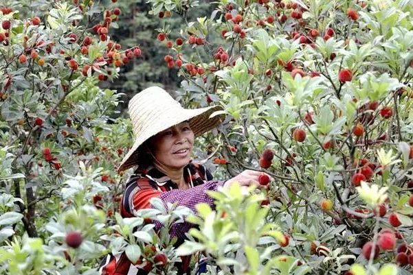  p>宝坛乡,广西壮族自治区河池市罗城仫佬族自治县下辖乡, span class