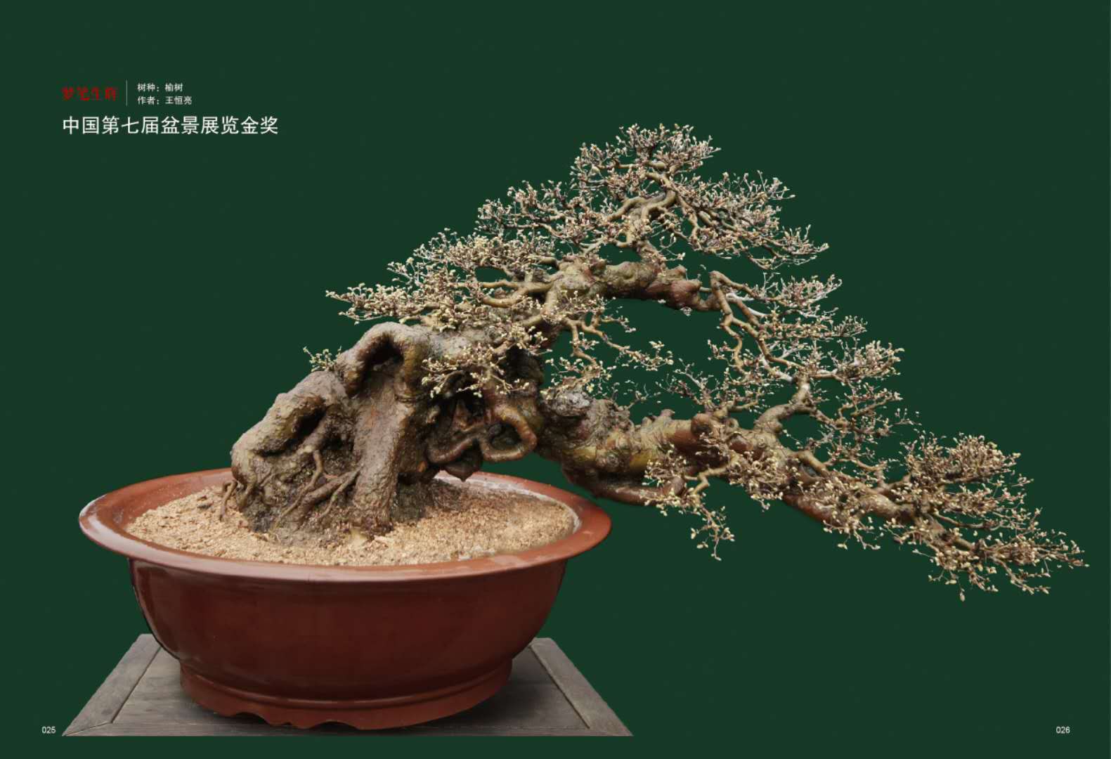  p>王恒亮,男,生于1956年1月,安徽省蚌埠市人,祖籍山东藤县. /p>