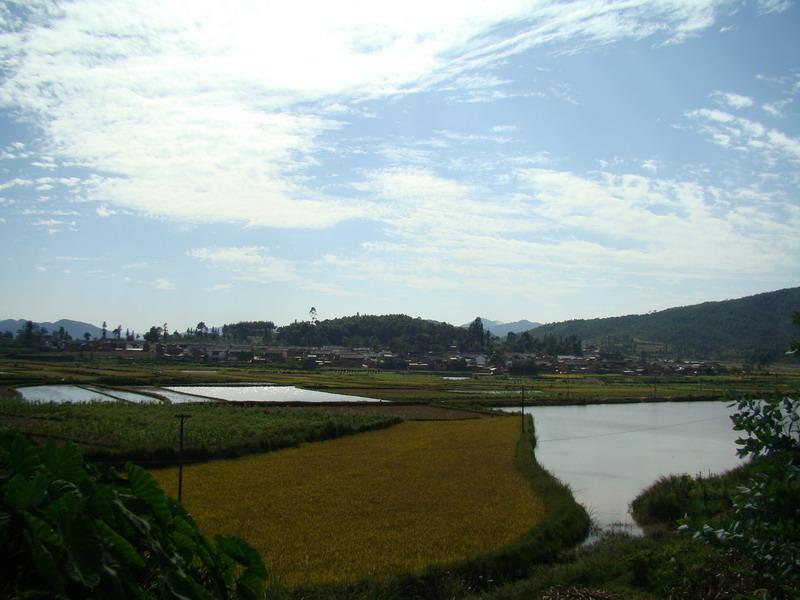 黑泥田村