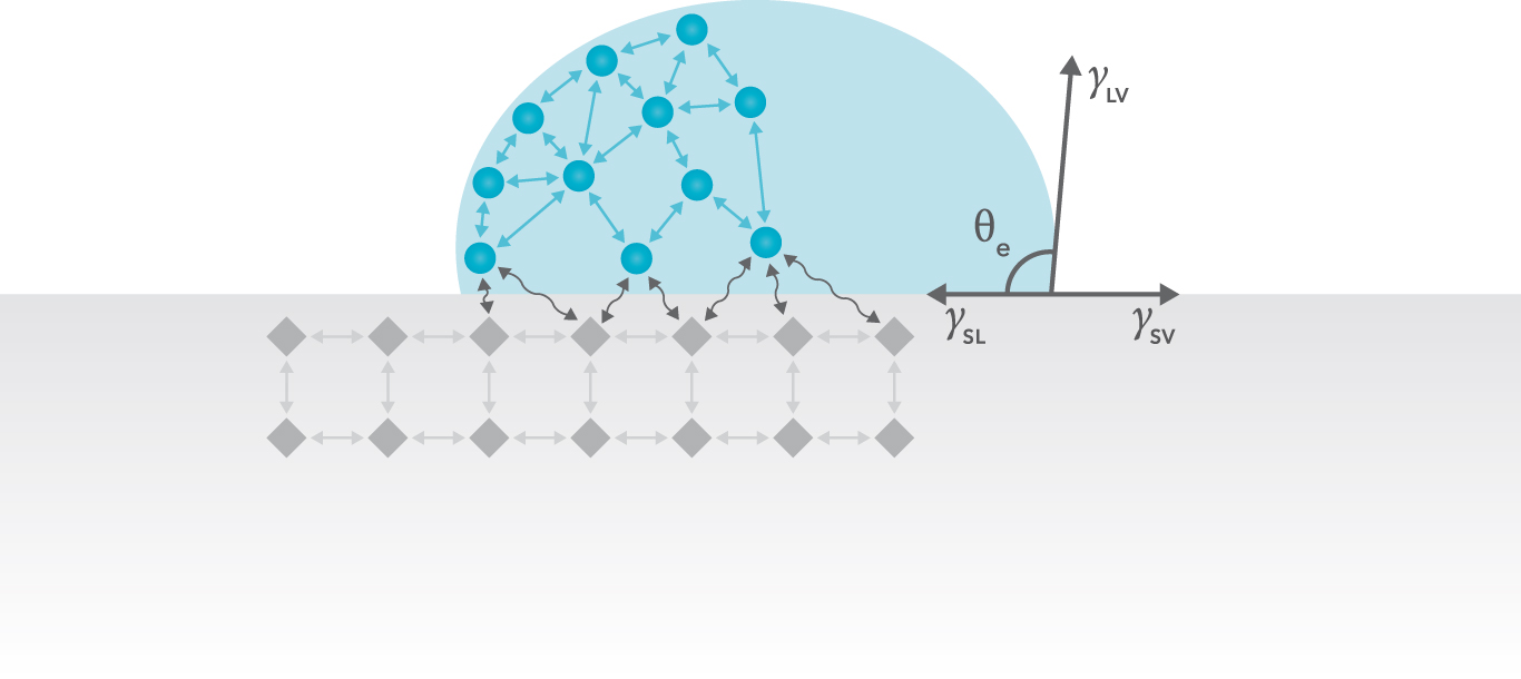  p>界面张力可以看成是作用在单位长度液体界面上的收缩力,在数值上与
