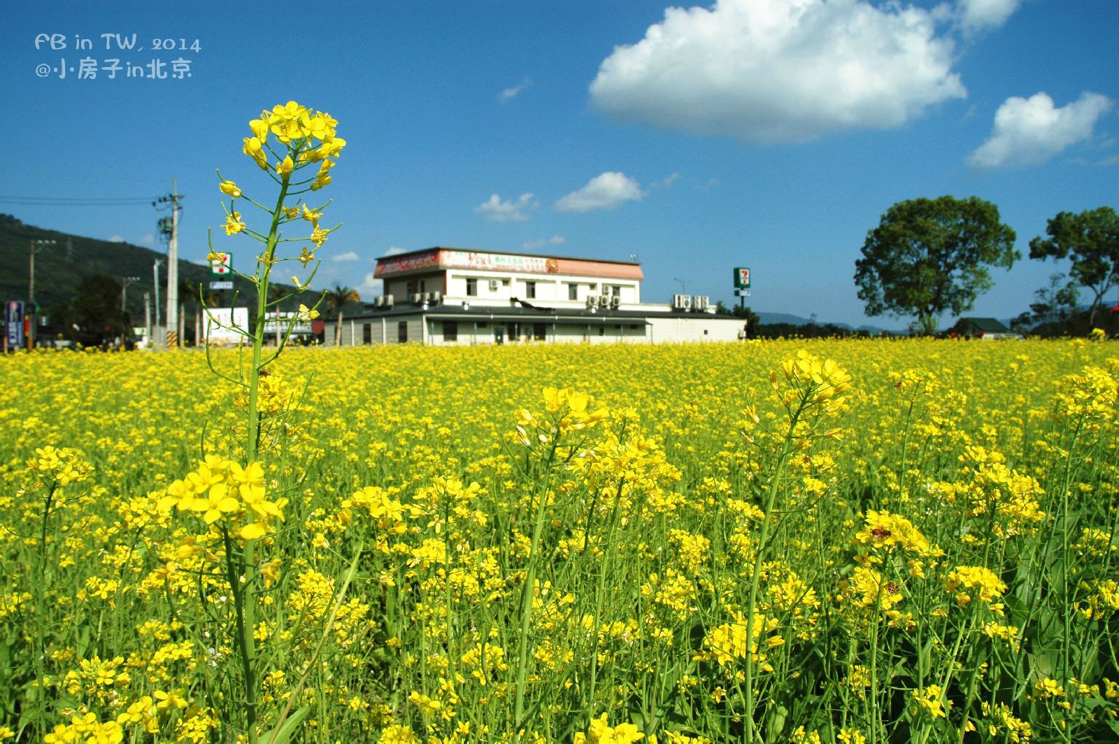  p>是台湾东部纵谷地形景观,夹于 a target="_blank" href="/item