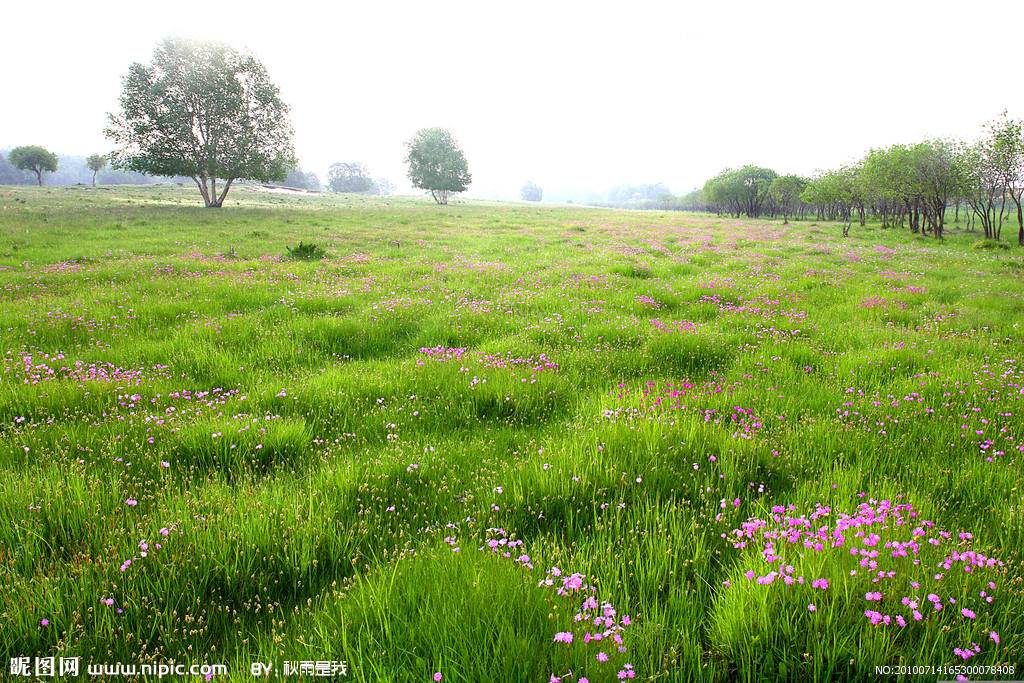  p>坝上草原特指由草原陡然升高而形成的地带,又因气候和植被的原因