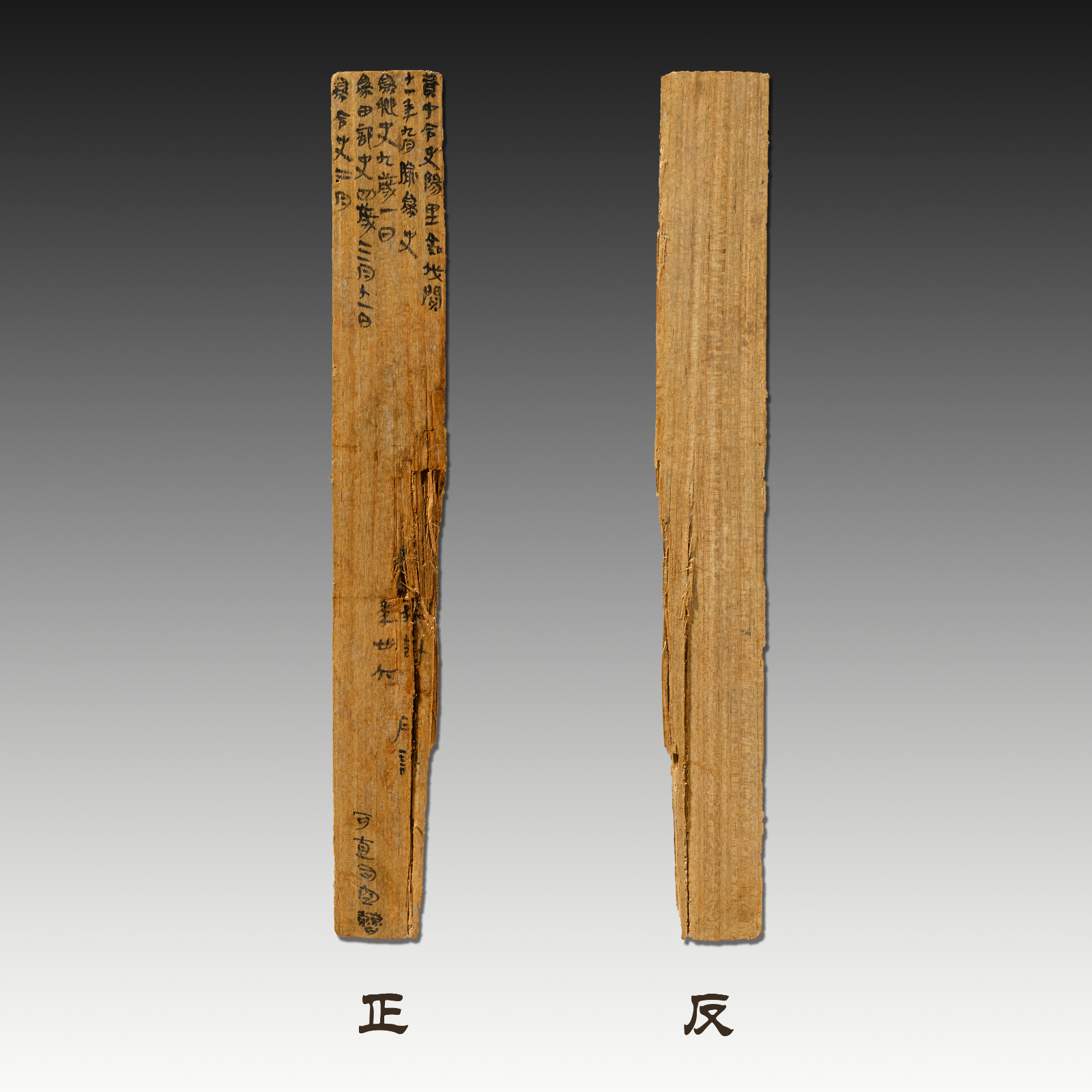 里耶秦简