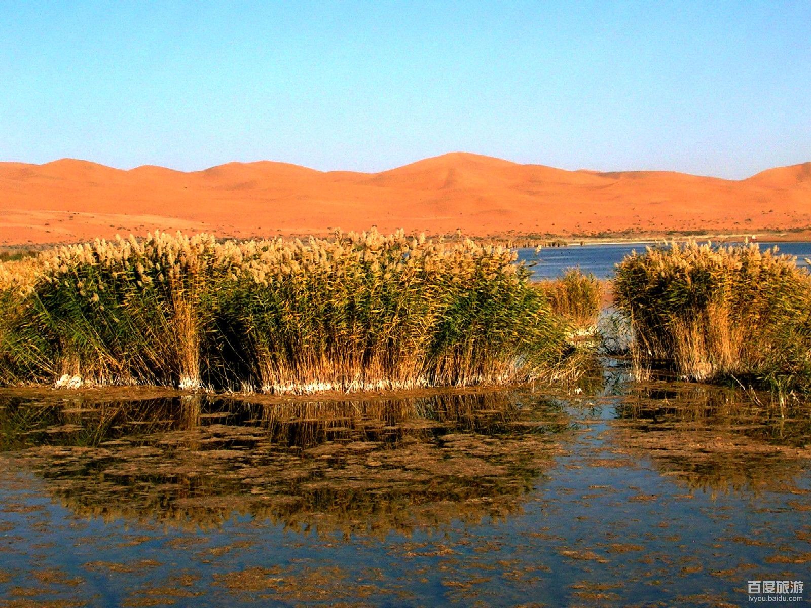  p>月亮湖位于内蒙古自治区阿拉善盟阿拉善左旗境内,是腾格里沙漠中的