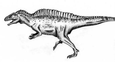  p>高棘龙(学名acrocanthosaurus),又名高脊龙,多脊龙或 a href="#"