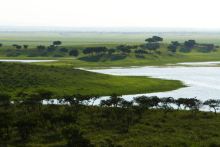 内蒙古科尔沁国家级自然保护区