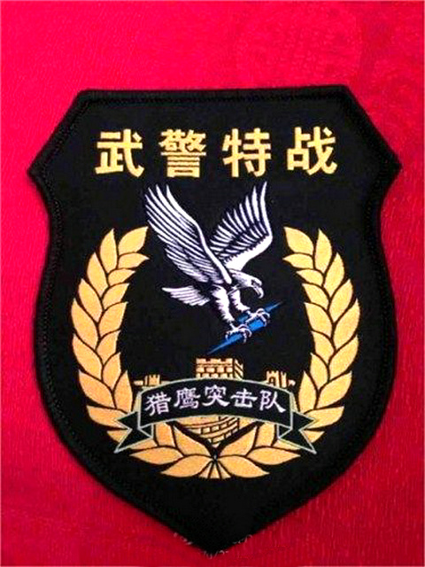 中国人民武装警察部队"猎鹰突击队"