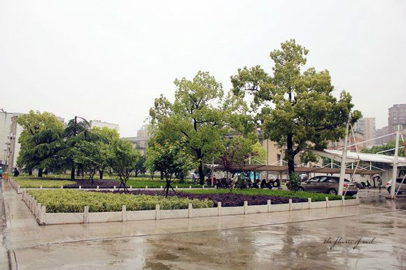 安庆市第十一中学