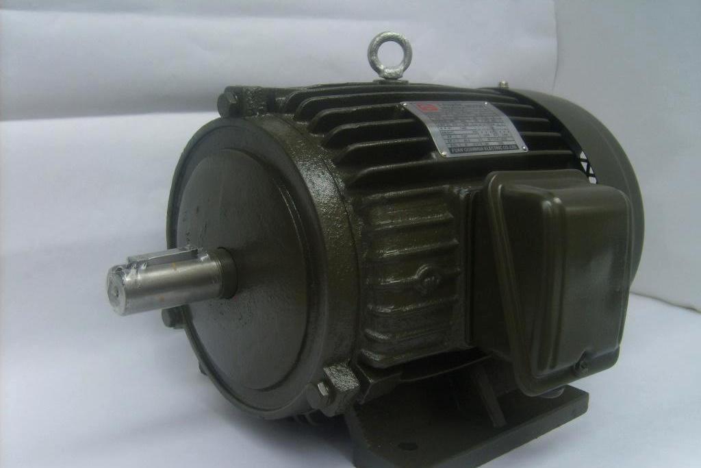 鼠笼型异步电动机