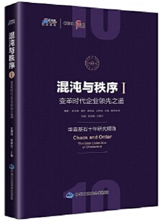 混沌与秩序1:变革时代企业领先之道
