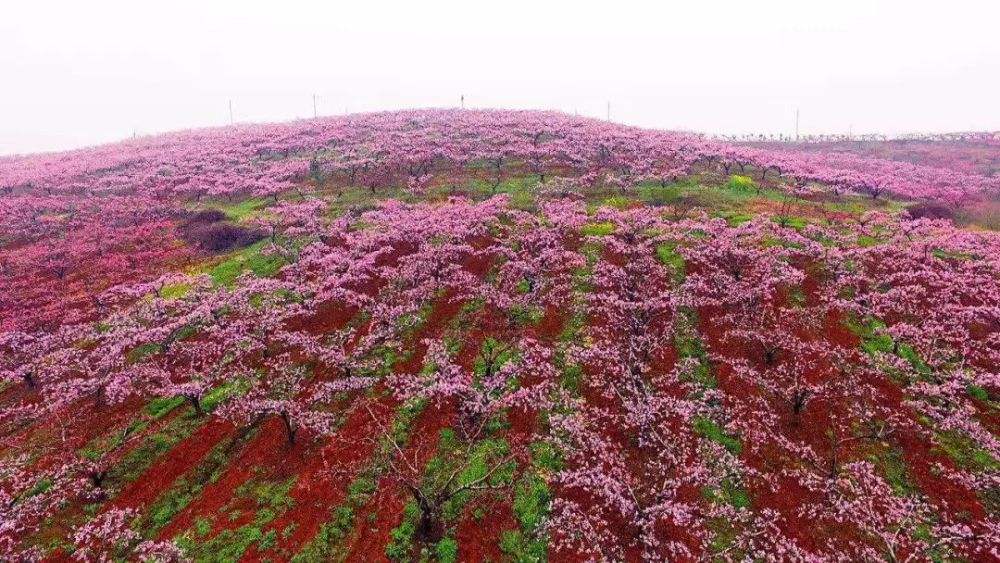  p data-id="gnaryslvh2">平林镇,隶属于湖北省襄阳市枣阳市,地处 a