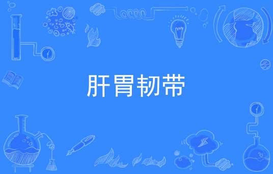 肝胃韧带_百度百科