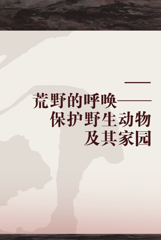 荒野的呼唤——保护野生动物及其家园