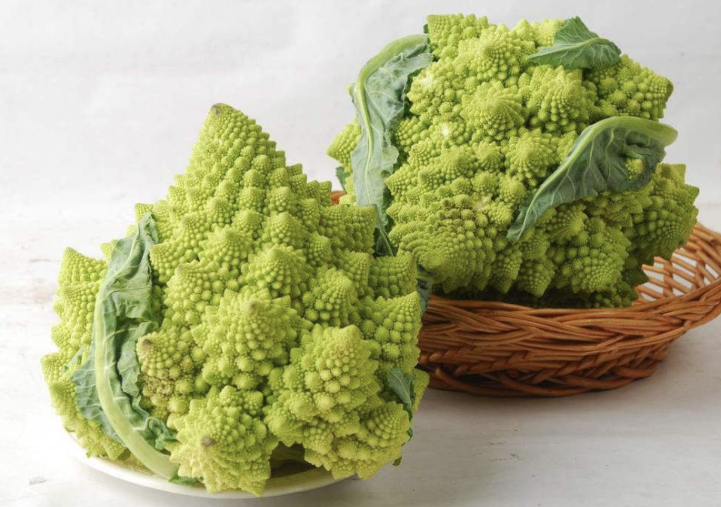  p data-id="tyqxv1zsdtak">宝塔菜,别名甘露子,唇形科多年生草本植物