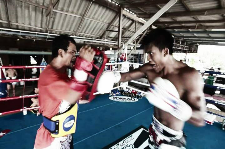  p>播求(buakaw banchamek),1982年5月8日出生于泰国 a href="#" data