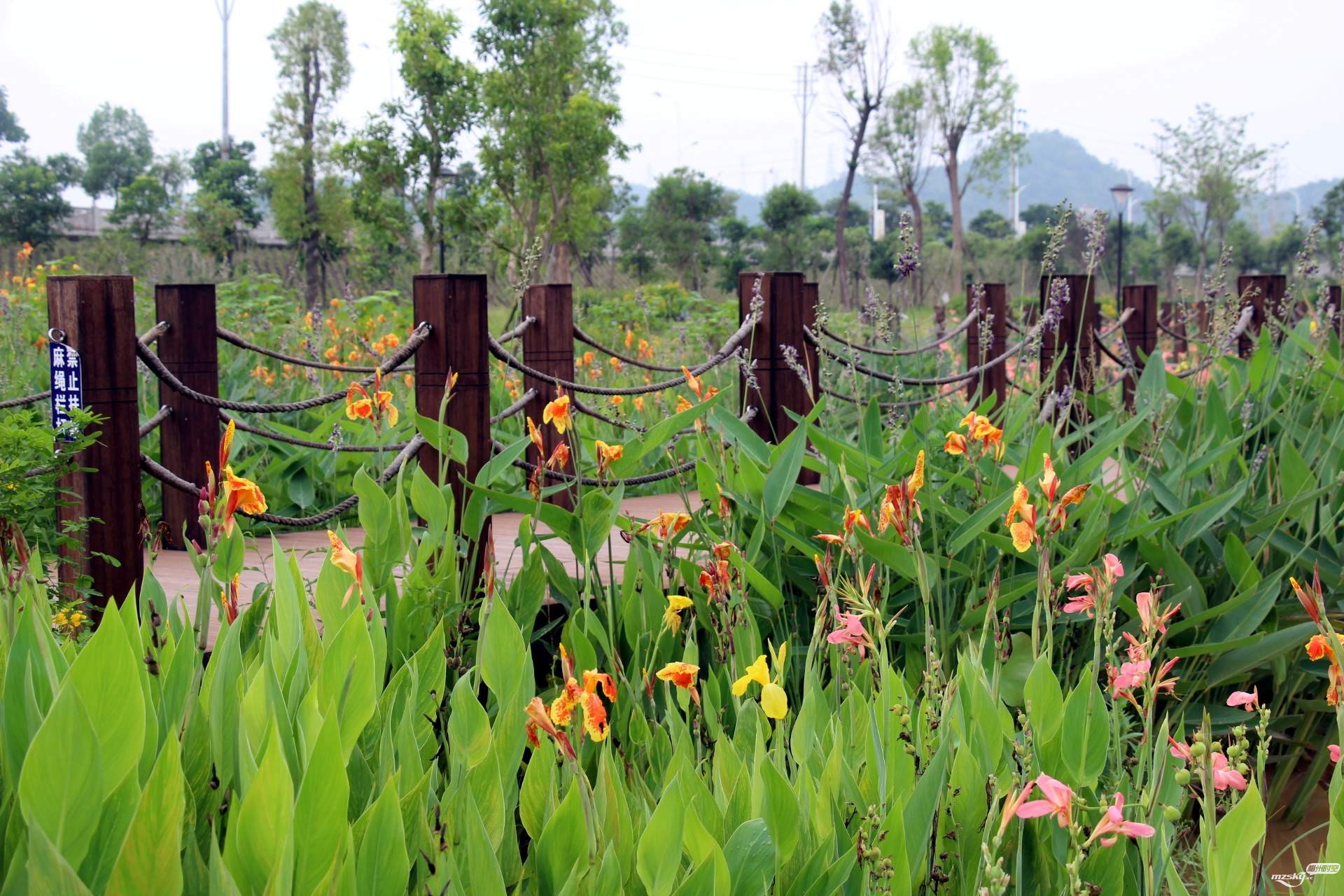 芹洋半岛滨水湿地公园