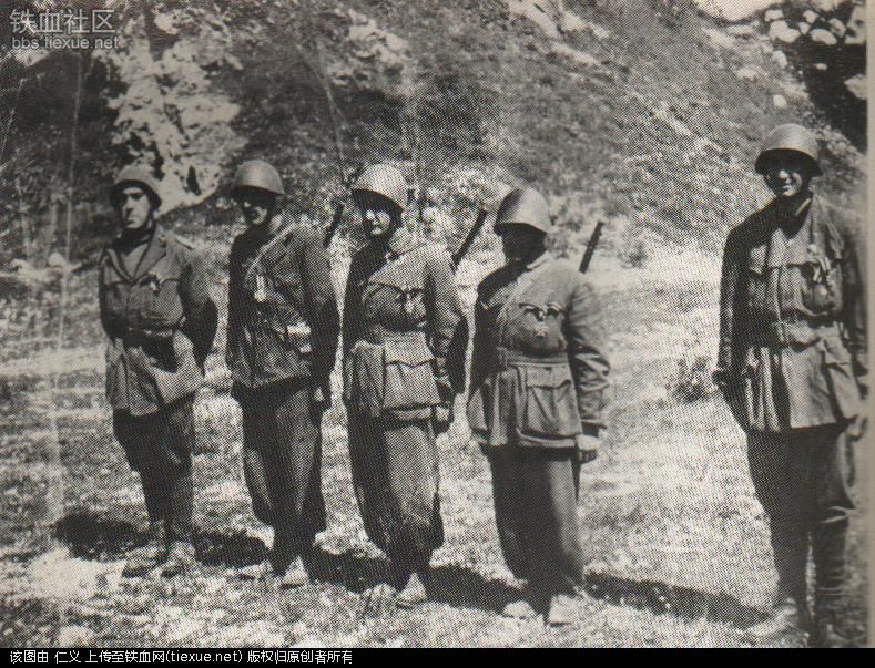  p>党卫军第二十一"斯坎德培"武装掷弹兵师 /p> p>21st waffen-gebirg