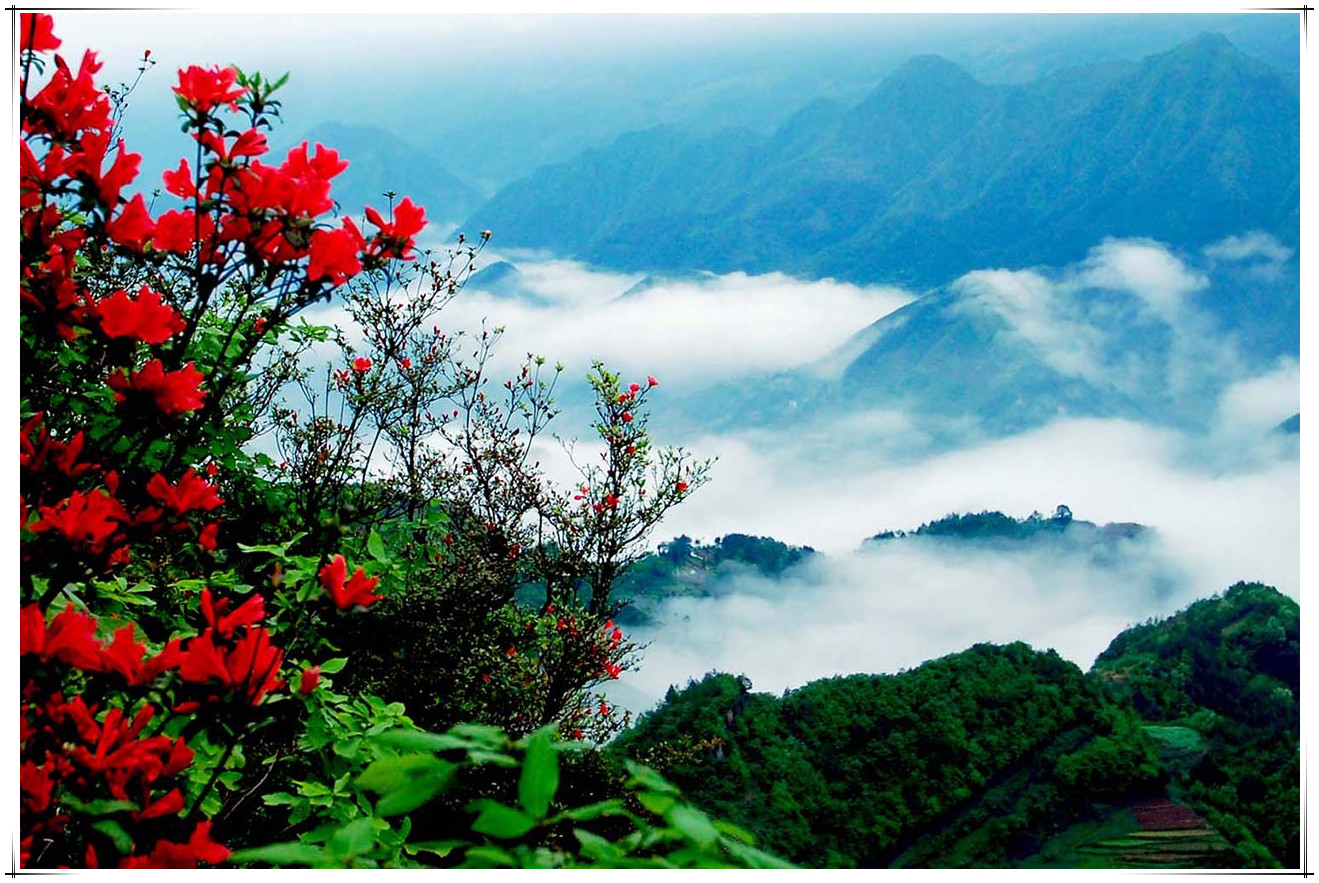苏马荡景区