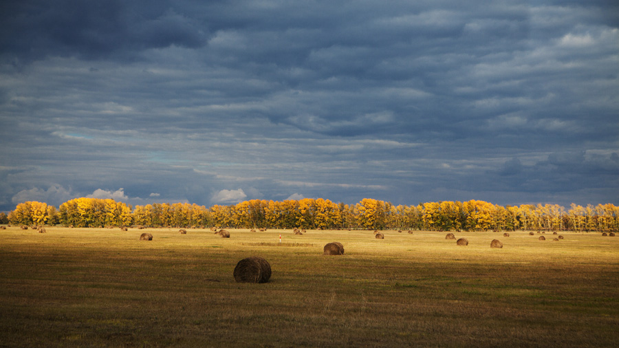western siberian plain