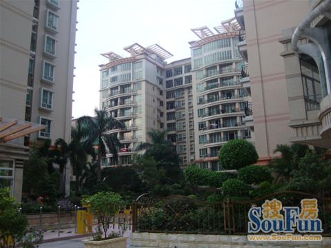 嘉美豪苑广场位于常平镇的主干道常平大道旁,毗邻常平第一小学,总