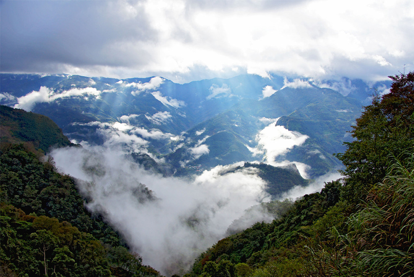  p>阿里山山脉是中国 a href="#" data-lemmaid="122340">台湾 /a>中