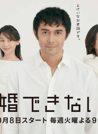 奈绪 日本女演员 百度百科