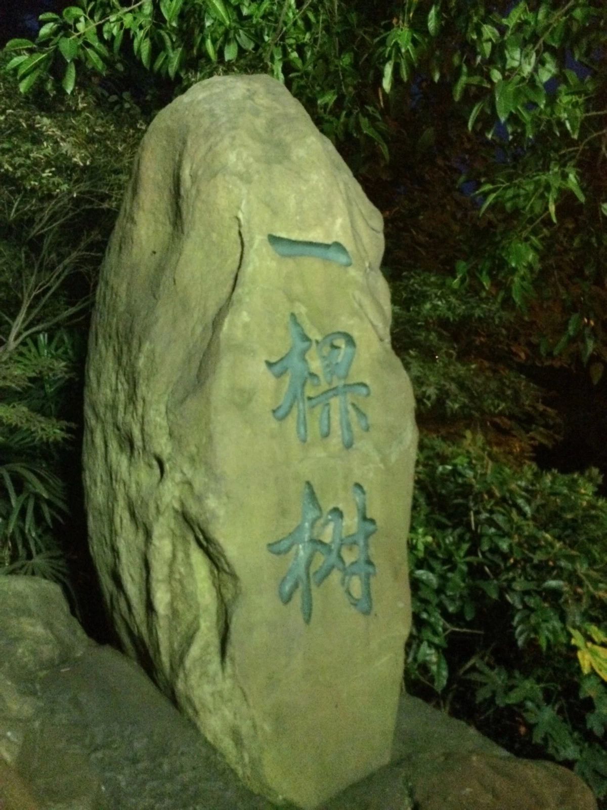 重庆南山一棵树观景台