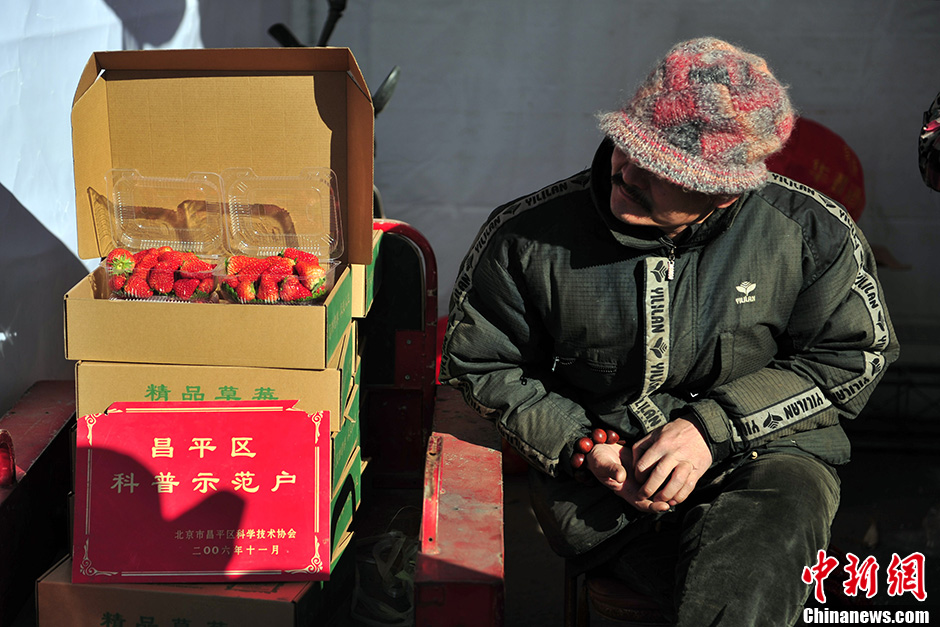 昌平草莓庙会