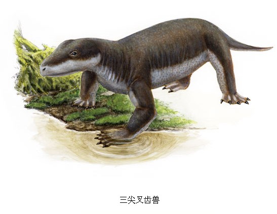 ">中生代 /a>早期的 a target="_blank" href="/item/哺乳动物/62197"